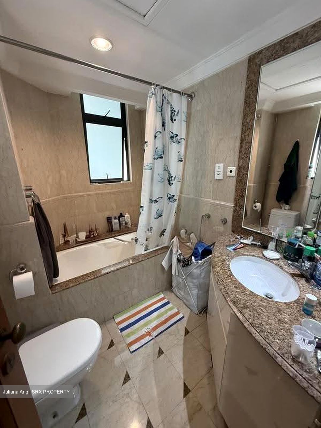 Valley Park (D10), Condominium #619286671